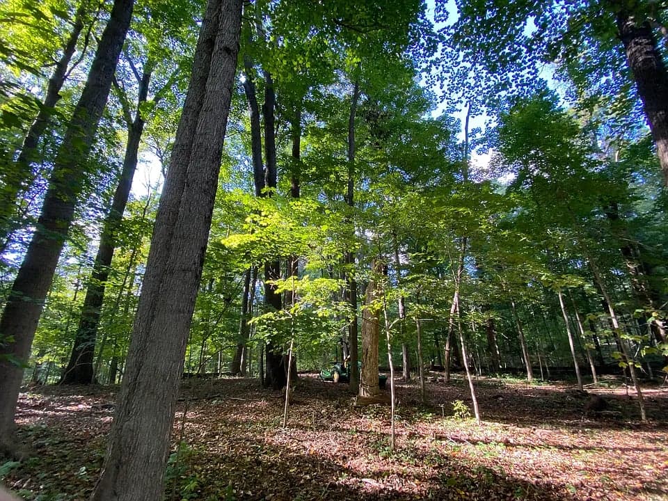 1070 N County Road 50 E in Danville